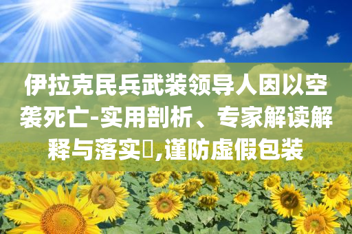 伊拉克民兵武裝領(lǐng)導(dǎo)人因以空襲死亡-實用剖析、專家解讀解釋與落實?,謹(jǐn)防虛假包裝