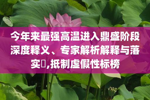 今年來最強高溫進入鼎盛階段深度釋義、專家解析解釋與落實?,抵制虛假性標(biāo)榜