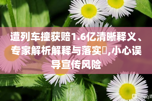 遭列車撞獲賠1.6億清晰釋義、專家解析解釋與落實(shí)?,小心誤導(dǎo)宣傳風(fēng)險(xiǎn)