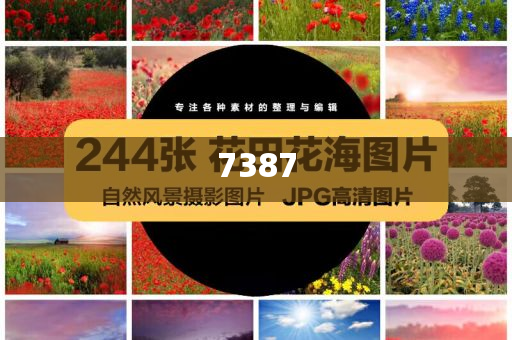 便利店的快樂(lè)吃貨們都懂吧-標(biāo)準(zhǔn)釋義、解釋與落實(shí),警惕虛假誘導(dǎo)危害