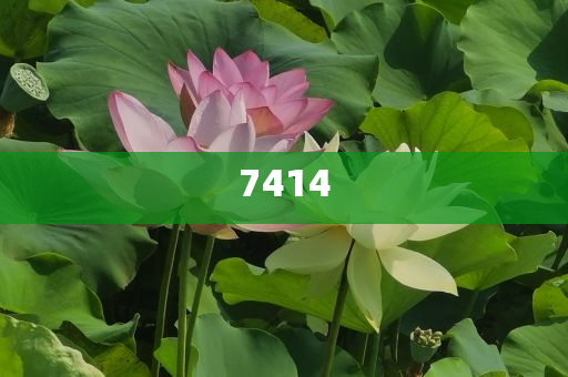 揭發(fā):公園挖3.36克拉鉆石,根源解答、專家解析解釋與落實(shí)-抵制欺詐的假推廣像