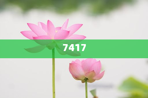 意大利男子靠近熊自拍被拖入山溝數(shù)字釋義、專家解讀解釋與落實(shí),杜絕虛假的假誘導(dǎo)