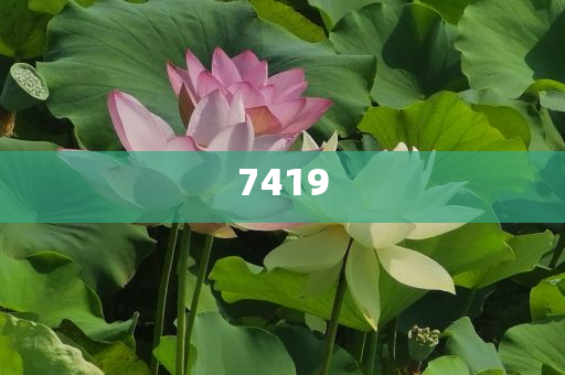 披露:烏克蘭首都遭俄襲擊陷入火海,精準(zhǔn)解答、專家解析解釋與落實(shí)?-警惕虛假的假營(yíng)銷案