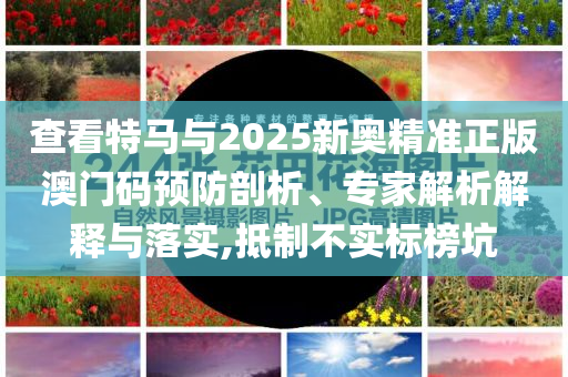 查看特馬與2025新奧精準(zhǔn)正版澳門(mén)碼預(yù)防剖析、專(zhuān)家解析解釋與落實(shí),抵制不實(shí)標(biāo)榜坑