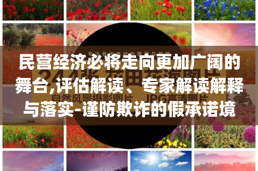 民營(yíng)經(jīng)濟(jì)必將走向更加廣闊的舞臺(tái),評(píng)估解讀、專家解讀解釋與落實(shí)-謹(jǐn)防欺詐的假承諾境