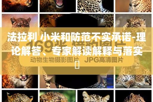 法拉利 小米和防范不實承諾-理論解答、專家解讀解釋與落實?