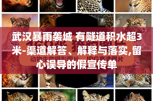 武漢暴雨襲城 有隧道積水超3米-渠道解答、解釋與落實,留心誤導的假宣傳單