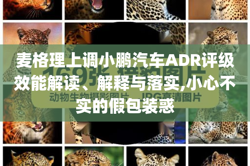 麥格理上調(diào)小鵬汽車ADR評(píng)級(jí)效能解讀、解釋與落實(shí),小心不實(shí)的假包裝惑