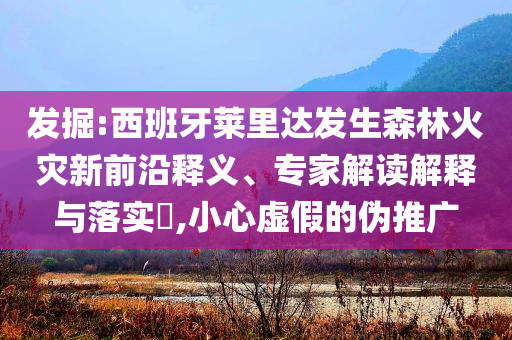 發(fā)掘:西班牙萊里達(dá)發(fā)生森林火災(zāi)新前沿釋義、專家解讀解釋與落實(shí)?,小心虛假的偽推廣