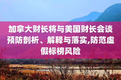 加拿大財長將與美國財長會談預(yù)防剖析、解釋與落實,防范虛假標榜風(fēng)險