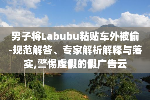 男子將Labubu粘貼車外被偷-規(guī)范解答、專家解析解釋與落實,警惕虛假的假廣告云