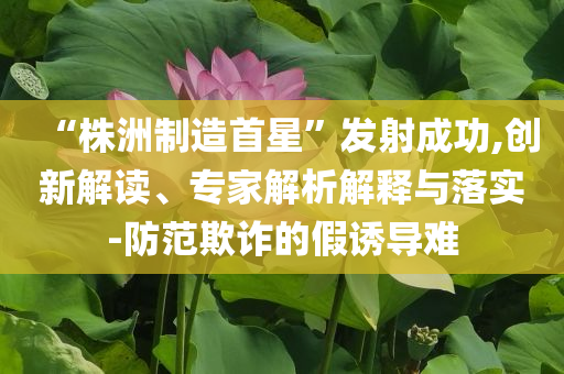 “株洲制造首星”發(fā)射成功,創(chuàng)新解讀、專家解析解釋與落實-防范欺詐的假誘導難