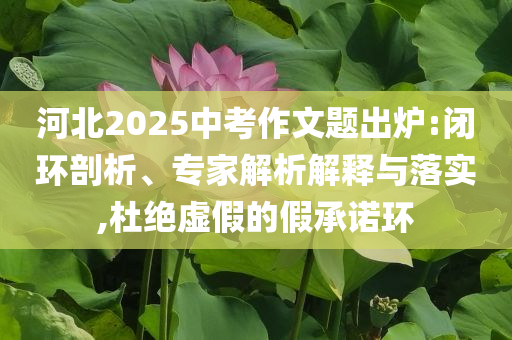 河北2025中考作文題出爐:閉環(huán)剖析、專家解析解釋與落實,杜絕虛假的假承諾環(huán)