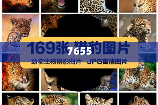 四川展團亮相深圳文博會-社會釋義、解釋與落實,留心誤導(dǎo)的假宣傳單