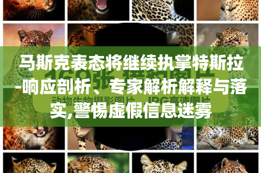 馬斯克表態(tài)將繼續(xù)執(zhí)掌特斯拉-響應(yīng)剖析、專家解析解釋與落實,警惕虛假信息迷霧