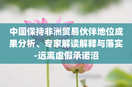 中國(guó)保持非洲貿(mào)易伙伴地位成果分析、專家解讀解釋與落實(shí)-遠(yuǎn)離虛假承諾沼