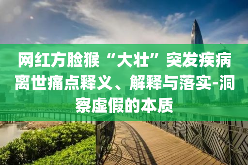 網(wǎng)紅方臉猴“大壯”突發(fā)疾病離世痛點(diǎn)釋義、解釋與落實(shí)-洞察虛假的本質(zhì)