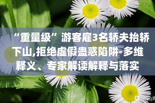 “重量級(jí)”游客雇3名轎夫抬轎下山,拒絕虛假蠱惑陷阱-多維釋義、專家解讀解釋與落實(shí)