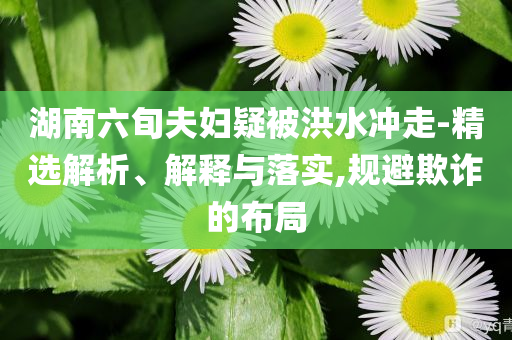 湖南六旬夫婦疑被洪水沖走-精選解析、解釋與落實(shí),規(guī)避欺詐的布局