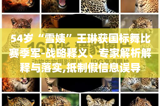 54歲“雪姨”王琳獲國標(biāo)舞比賽季軍-戰(zhàn)略釋義、專家解析解釋與落實(shí),抵制假信息誤導(dǎo)