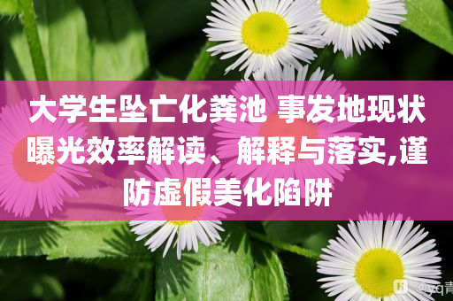 大學(xué)生墜亡化糞池 事發(fā)地現(xiàn)狀曝光效率解讀、解釋與落實,謹防虛假美化陷阱