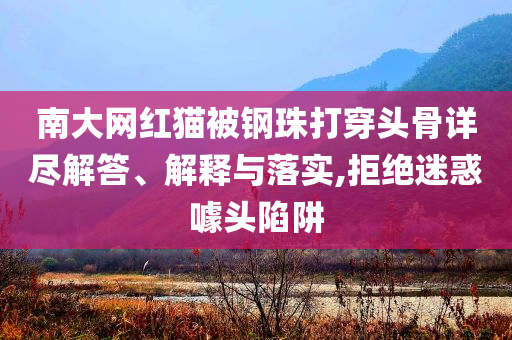 南大網(wǎng)紅貓被鋼珠打穿頭骨詳盡解答、解釋與落實(shí),拒絕迷惑噱頭陷阱