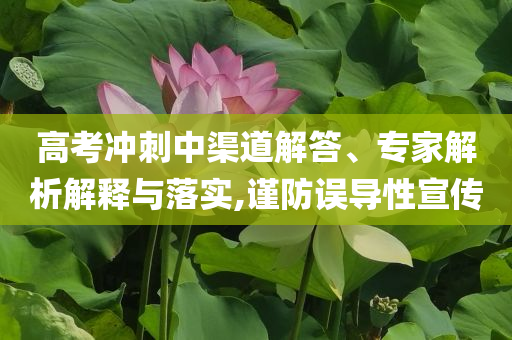 高考沖刺中渠道解答、專家解析解釋與落實(shí),謹(jǐn)防誤導(dǎo)性宣傳