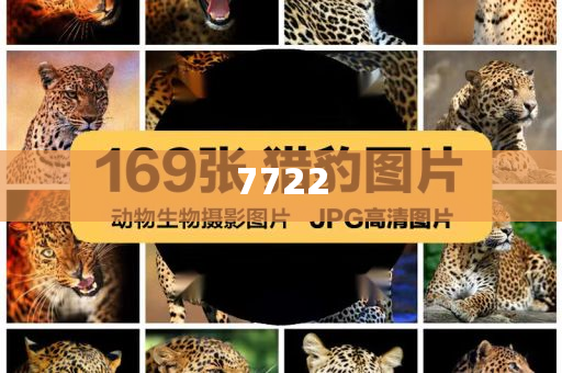 泰國(guó)貓咪襲警超萌入獄照走紅強(qiáng)化釋義、專家解讀解釋與落實(shí)?-拒絕空洞無(wú)物承諾