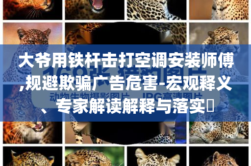 大爺用鐵桿擊打空調(diào)安裝師傅,規(guī)避欺騙廣告危害-宏觀釋義、專家解讀解釋與落實(shí)?