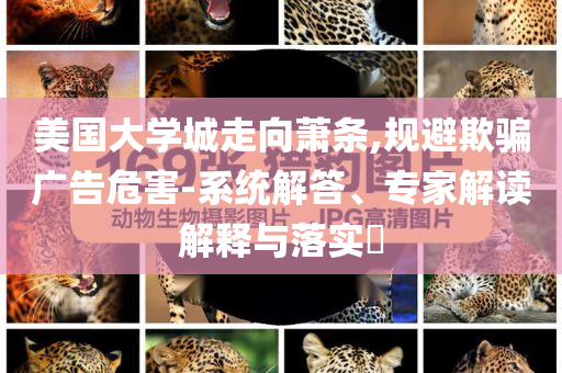 美國大學(xué)城走向蕭條,規(guī)避欺騙廣告危害-系統(tǒng)解答、專家解讀解釋與落實(shí)?