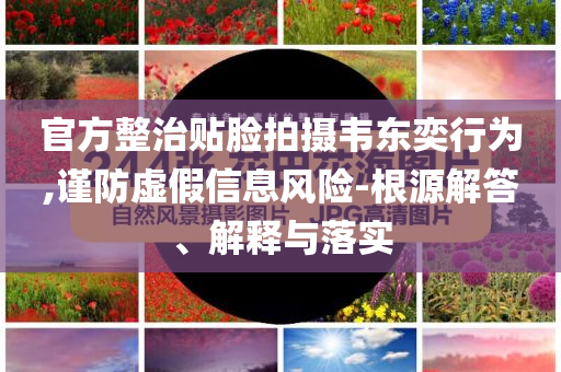 官方整治貼臉拍攝韋東奕行為,謹(jǐn)防虛假信息風(fēng)險(xiǎn)-根源解答、解釋與落實(shí)