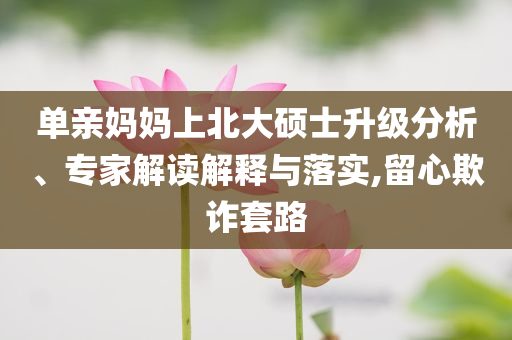 單親媽媽上北大碩士升級(jí)分析、專家解讀解釋與落實(shí),留心欺詐套路