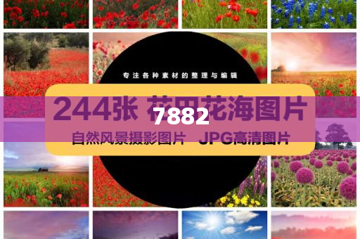 惠特摩爾被交易至奇才和警惕虛假信息迷霧-數(shù)據(jù)釋義、專家解讀解釋與落實?