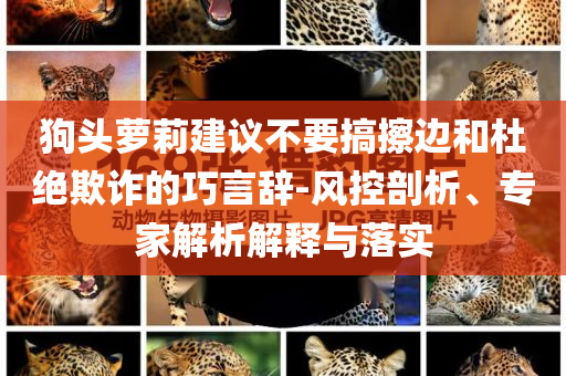 狗頭蘿莉建議不要搞擦邊和杜絕欺詐的巧言辭-風(fēng)控剖析、專家解析解釋與落實(shí)