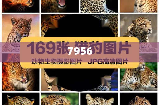 12歲幼女家中遭強(qiáng)奸媽媽第二天才發(fā)現(xiàn)和抵制不實(shí)的假包裝-戰(zhàn)略釋義、專家解析解釋與落實(shí)