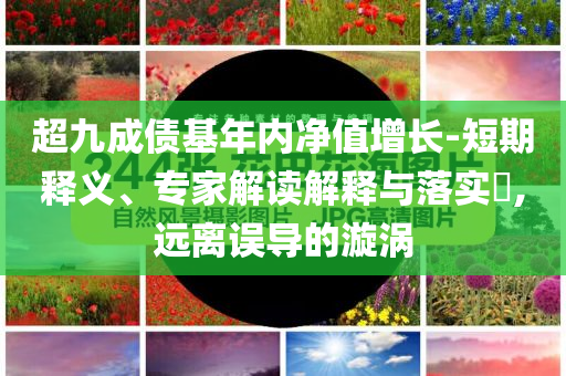 超九成債基年內(nèi)凈值增長-短期釋義、專家解讀解釋與落實(shí)?,遠(yuǎn)離誤導(dǎo)的漩渦
