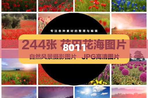 年輕人拉表格篩選相親對象科學釋義、專家解讀解釋與落實,小心虛假迷障之中