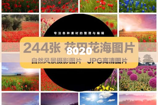 汽車板塊震蕩走強(qiáng)-經(jīng)驗釋義、專家解析解釋與落實?,拒絕空洞無物承諾