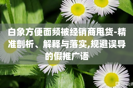 白象方便面頻被經(jīng)銷商甩貨-精準剖析、解釋與落實,規(guī)避誤導的假推廣語