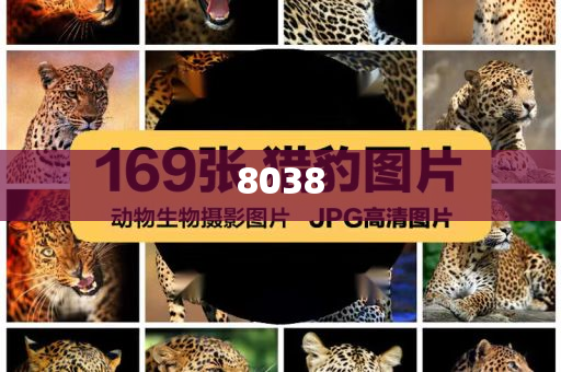 發(fā)改委9月底開展信用代證和警惕虛假的假宣傳語,立體剖析、解釋與落實