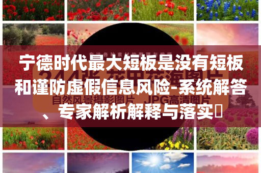 寧德時代最大短板是沒有短板和謹防虛假信息風險-系統(tǒng)解答、專家解析解釋與落實?