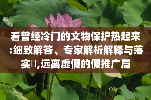 看曾經(jīng)冷門的文物保護(hù)熱起來(lái):細(xì)致解答、專家解析解釋與落實(shí)?,遠(yuǎn)離虛假的假推廣局