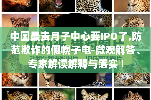 中國最貴月子中心要IPO了,防范欺詐的假幌子電-微觀解答、專家解讀解釋與落實?