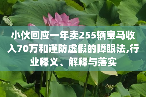 小伙回應(yīng)一年賣255輛寶馬收入70萬和謹防虛假的障眼法,行業(yè)釋義、解釋與落實