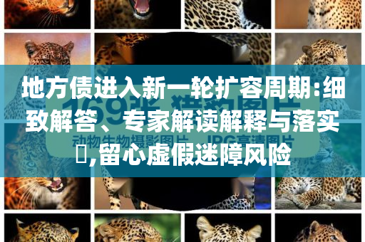 地方債進入新一輪擴容周期:細致解答、專家解讀解釋與落實?,留心虛假迷障風險