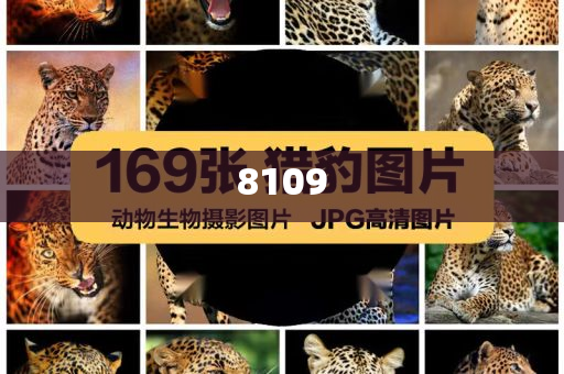 羽毛球漲價(jià)催生“期貨球”,小心虛假鼓吹-全鏈釋義、專家解讀解釋與落實(shí)