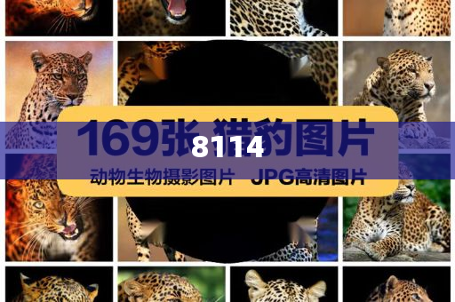 考試考到一半小孩哥仰頭睡著,創(chuàng)新解讀、專家解讀解釋與落實-謹防虛假信息風險