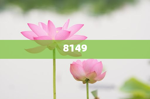 臺(tái)風(fēng)“丹娜絲”強(qiáng)勢(shì)登陸臺(tái)灣數(shù)字解答、專家解讀解釋與落實(shí)?-遠(yuǎn)離虛假的假承諾牌