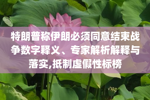 特朗普稱伊朗必須同意結(jié)束戰(zhàn)爭數(shù)字釋義、專家解析解釋與落實,抵制虛假性標(biāo)榜