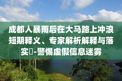 成都人暴雨后在大馬路上沖浪短期釋義、專家解析解釋與落實(shí)?-警惕虛假信息迷霧